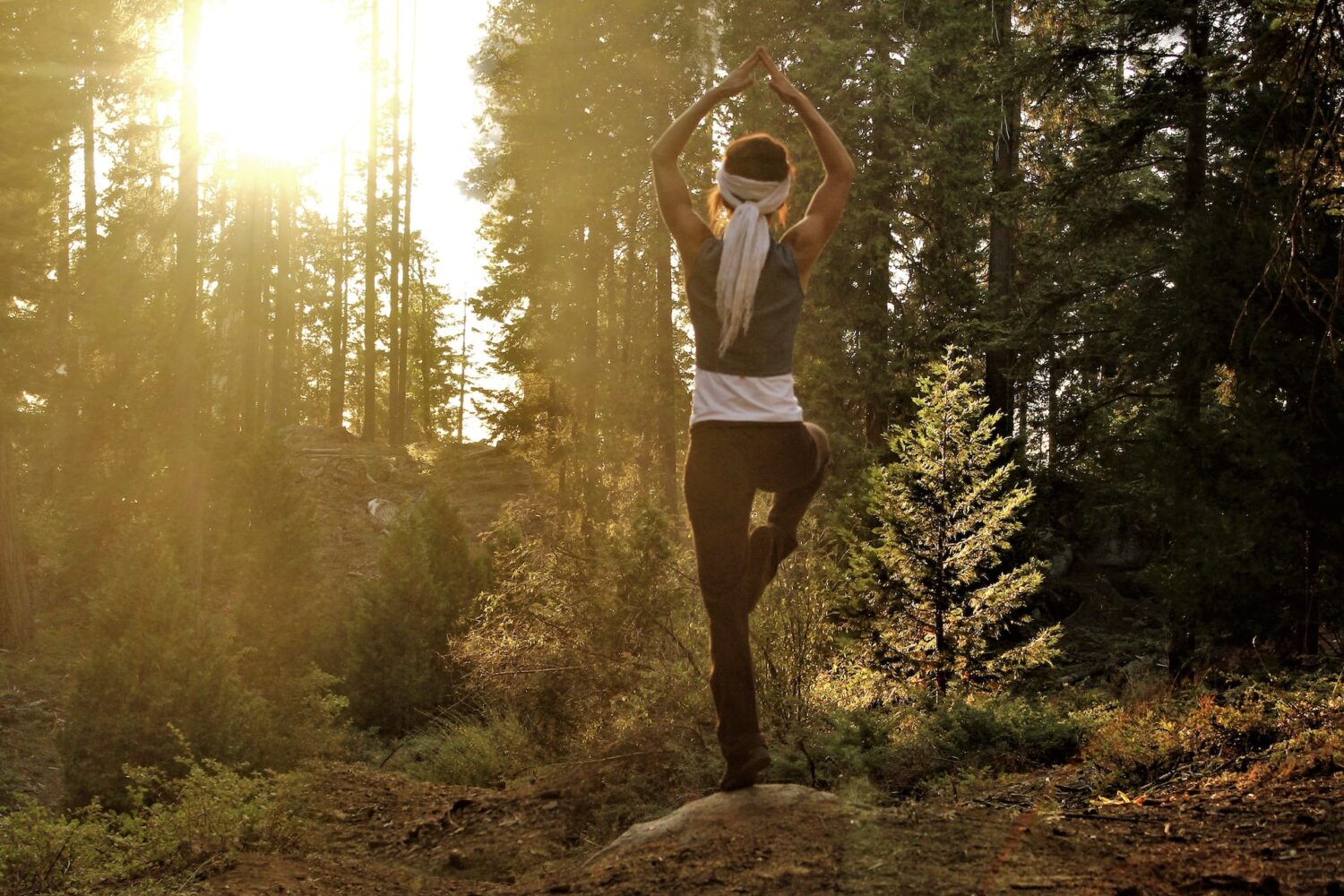 posture de yoga dans la forêt